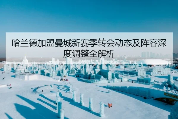 哈兰德加盟曼城新赛季转会动态及阵容深度调整全解析 | HTH